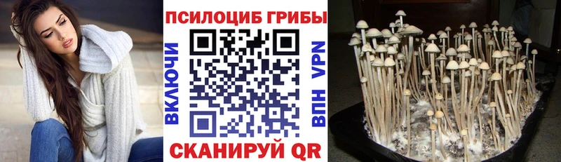 мега зеркало  Мантурово  Псилоцибиновые грибы Psilocybe 